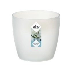 Pot Brussels orchidée 16cm...