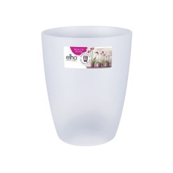 Pot haut Brussels orchidée...