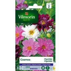 VILMORIN COSMOS Psychée...