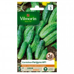 VILMORIN CORNICHON Parigyno...