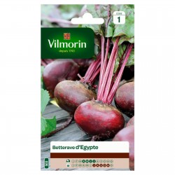 VILMORIN BETTERAVE D'Égypte...