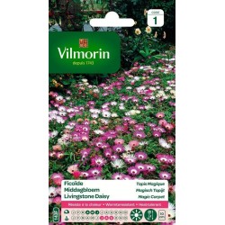 VILMORIN FICOÏDE Tapis...