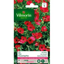 VILMORIN LIN De Venise...