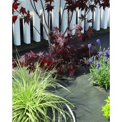 GEOTEX PLA Feutre en...