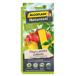 Pieges Jaunes Collants 7...