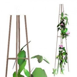 Tuteur Rosier et grimpants...