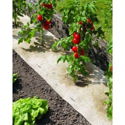 CHANVRELIN 500 0.5X3m...