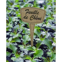 LABEL 15 FIB 10 étiquettes...