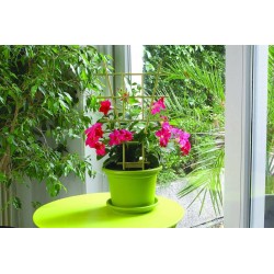 ECHELLE Tuteur plastique...