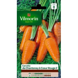 VILMORIN CAROTTE De...