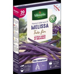 VILMORIN HARICOT Violet...