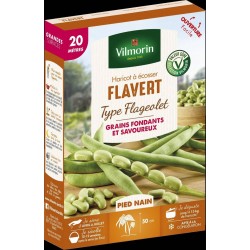 VILMORIN FLAGEOLET Haricot...