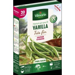 VILMORIN HARICOT Vert Très...