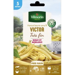 VILMORIN HARICOT Beurre...
