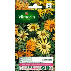 VILMORIN DIMORPHOTECA Las...