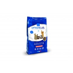 DYNAMICATS Croquettes...