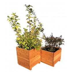 Bac City mélèze huilé...