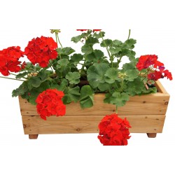 Jardinière Moline mélèze...