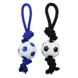 Jouet pour chien ballon...