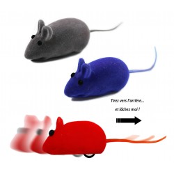 Jouet pour chat mini souris...