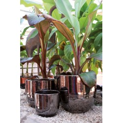 Pot droit REBORD Ø21 METAL...