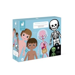 Corps Humain 50.75.100Pcs...