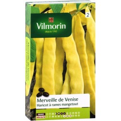 VILMORIN HARICOT À Rames...