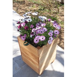 Bac City mélèze huilé...