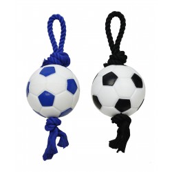 Jouet pour chien ballon...