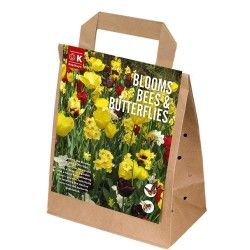 MÉLANGE DE BULBES À FLEURS...