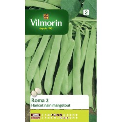 VILMORIN HARICOT Nain...