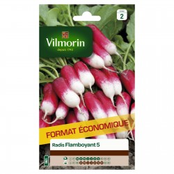 VILMORIN-RADIS Flamboyant 5...