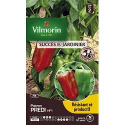 VILMORIN SUCCÈS DU...