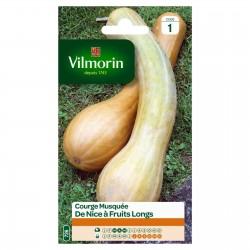 VILMORIN COURGE Musquée De...