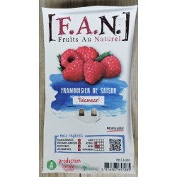 Framboisier Tulameen Nr-C1.6L