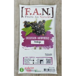 Cassissier Andega C1.6L