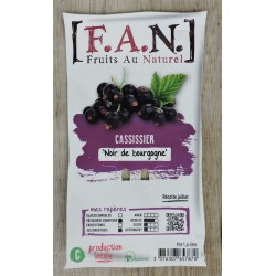 Cassissier Noir Bourgogne...