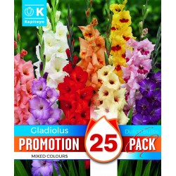 KAPITEYN PROMOTION...