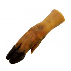 Friandise chien Pied de...