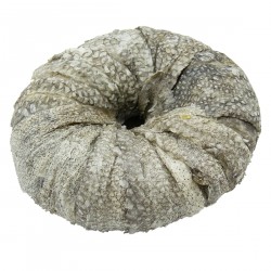 Friandise chien NATURE...