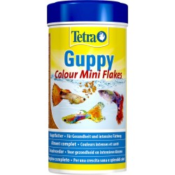 TETRA GUPPY COLOUR MINI...