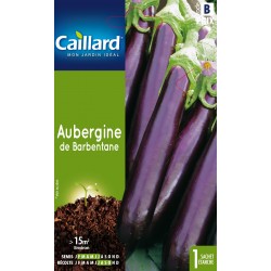 Graines Aubergine De...