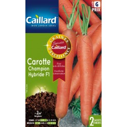 Graines Carotte Champion F1...