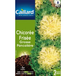Graines Chicoree Frisee...