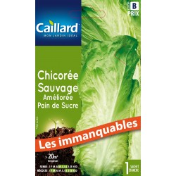 Graines Chicoree Sauvage...