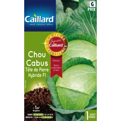 Graines Chou Cabus Tete De...