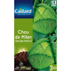 Graines Chou De Milan Gros...