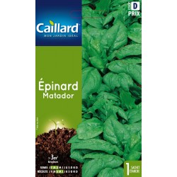 Graines Epinard Matador...