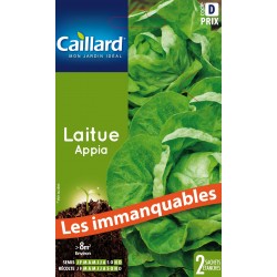 Graines Laitue Pommee Appia...