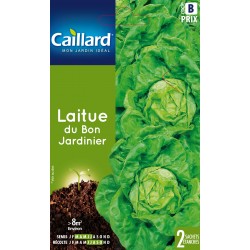 Graines Laitue Du Bon...